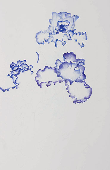 370x573 Watercolor Painting Demonstration Of Purple Amp White Iris - Iris Watercolor