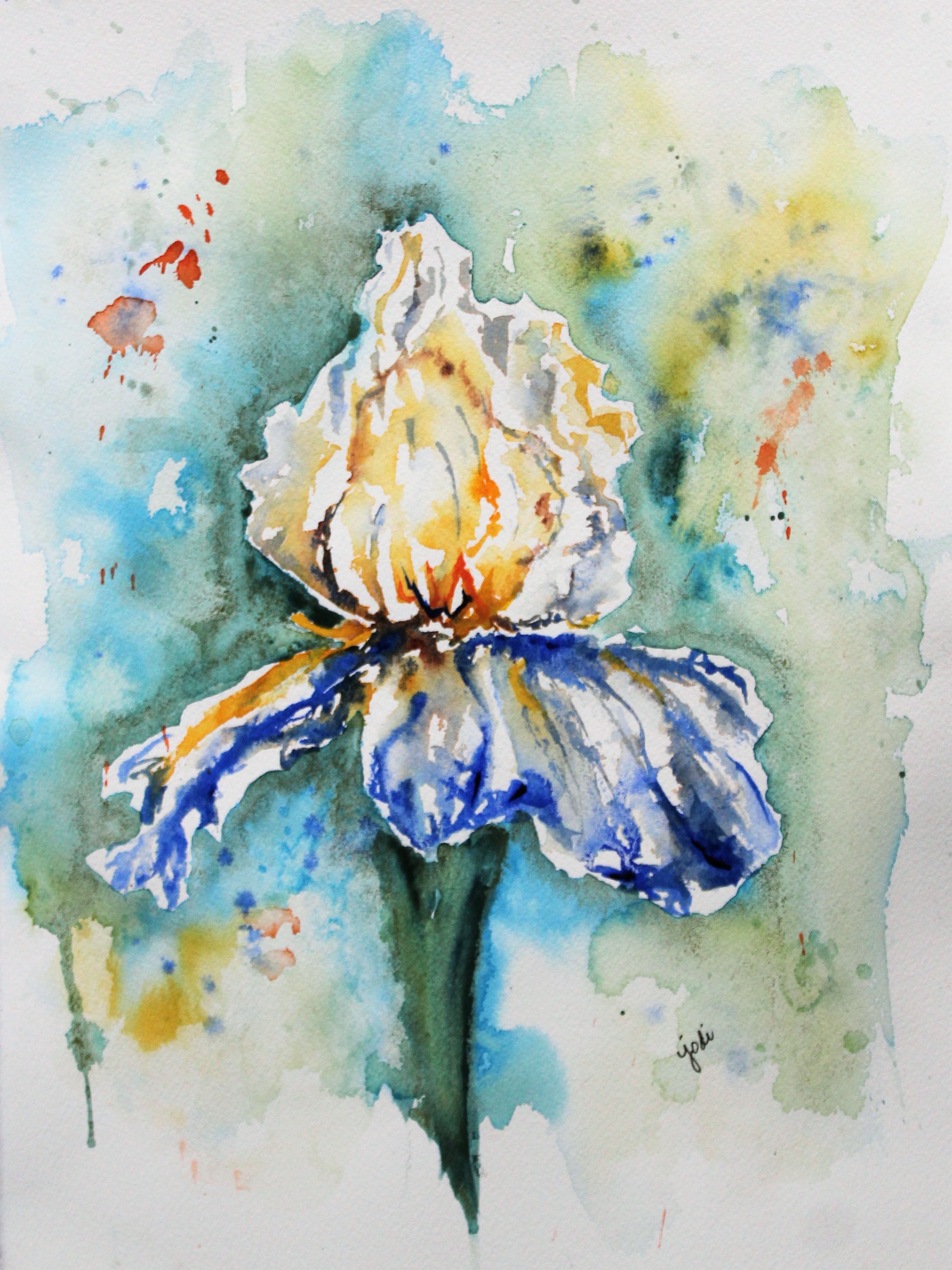 2683x3578 The Creative Life In Between Cherishing The Moments And - Iris Watercolor