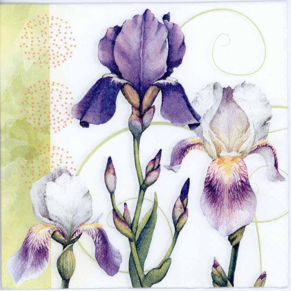 999x1000 Decoupage Napkins Of Watercolor Of Iris Flowers - Iris Watercolor