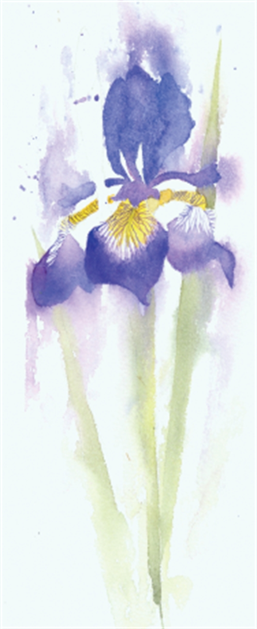 530x1297 How To Paint An Iris In Watercolour With Rachel Mcnaughton - Iris Watercolor