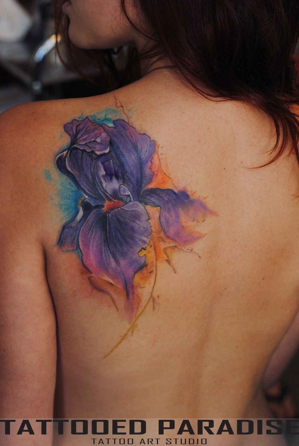 1024x1525 Pin By Dobosia92 . On Tattoos Watercolour Tattoos - Iris Watercolor Tattoo