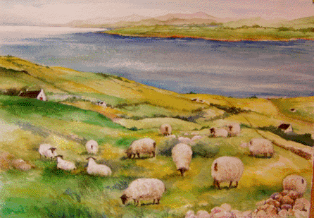 446x309 Irish Sheep Watercolors By - Irish Watercolor