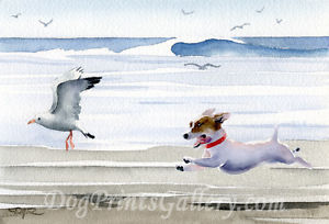 300x204 Jack Russell Terrier Art Print Signed By Watercolor Artist Dj - Jack Russell Watercolor