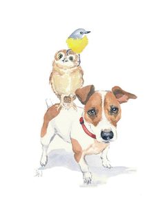 236x295 Jack Russell Terrier Art Print Of Original Watercolor Painting - Jack Russell Watercolor