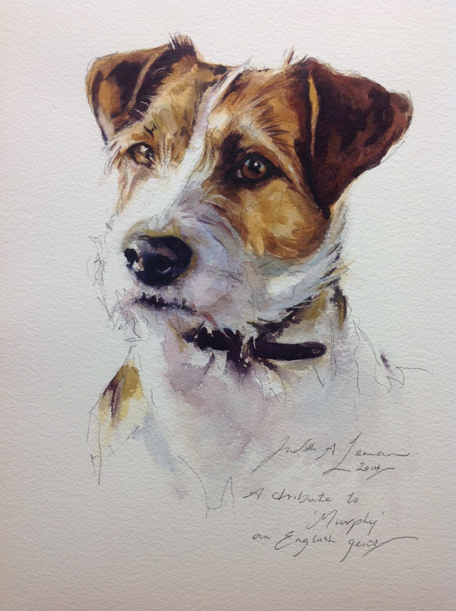 1529x2048 Jack Russell Terrier Painting - Jack Russell Watercolor