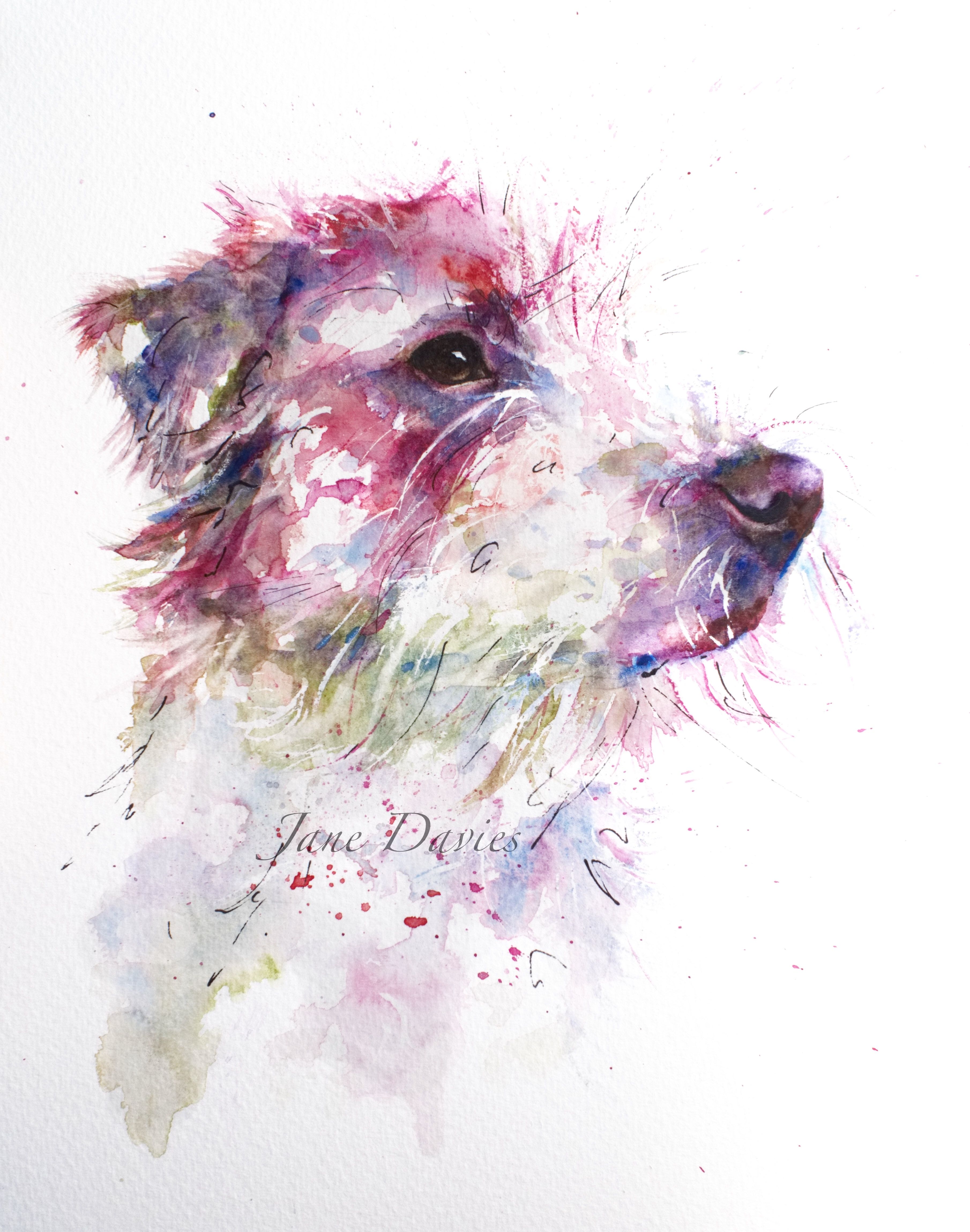 3620x4600 Pet Portrait Of A Jack Russell Painted By Watercolour Artist Jane - Jack Russell Watercolor