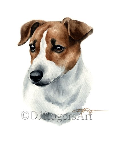 Jack Russell Watercolor at PaintingValley.com | Explore collection of ...