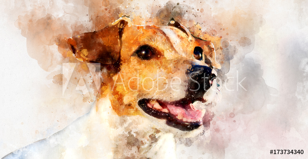 1000x518 Photo Amp Art Print Digital Watercolor Painting Of Jack Russell - Jack Russell Watercolor
