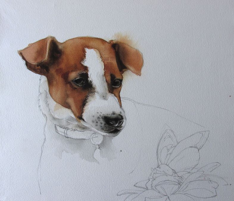 786x674 The Chance Encounter Alfredngdesign - Jack Russell Watercolor