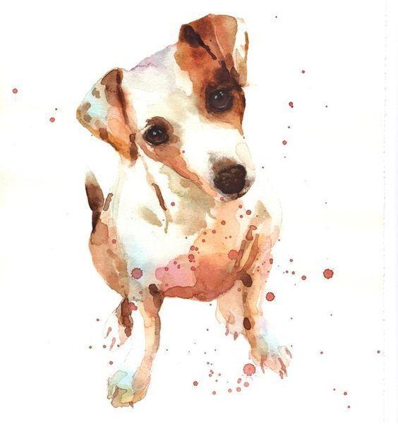 564x601 Watercolor Jack Russell Watercolor Watercolor - Jack Russell Watercolor