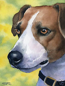 226x300 Jack Russell Terrier Art Print Dog Watercolor 8 X 10 Signed By - Jack Russell Watercolor