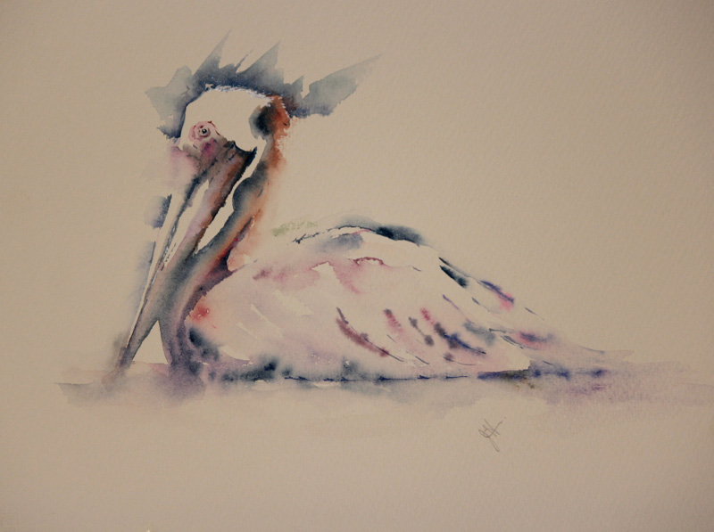 800x597 Watercolours With Life Usa Workshops Florida January 2018 - January Watercolor