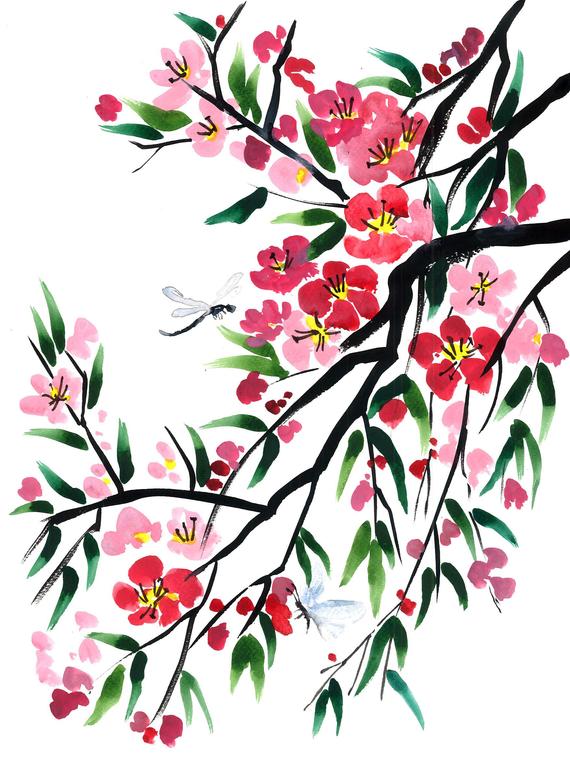 Japanese Cherry Blossom Watercolor at PaintingValley.com | Explore ...