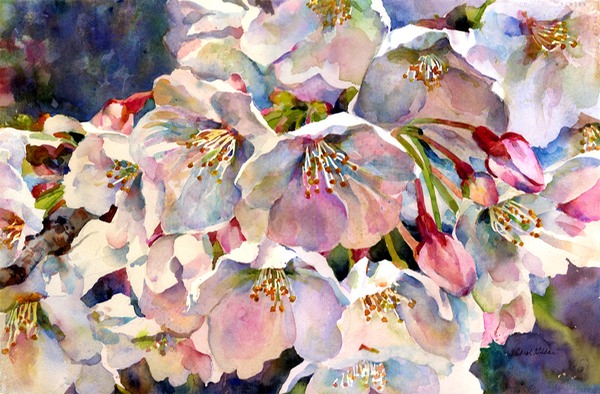 600x394 Japanese Cherry Blossoms, Watercolor - Japanese Cherry Blossom Watercolor