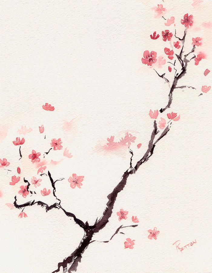700x900 Cherry Blossom 3 By Rachel Dutton Watercolor Products I Love - Japanese Cherry Blossom Watercolor