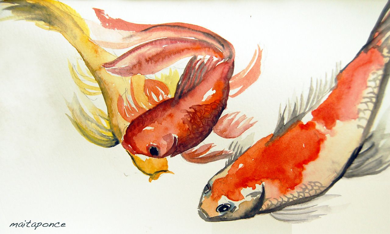 Japanese Koi Watercolor at PaintingValley.com | Explore collection of ...