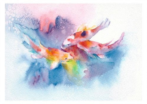 498x352 Japanese Koi - Japanese Koi Watercolor