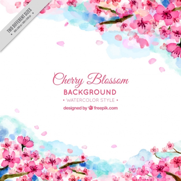 626x626 Cherry Blossom Vectors, Photos And Psd Files Free Download - Japanese Watercolor Cherry Blossoms