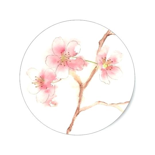 540x540 Cherry Blossom Watercolor Art. Image Result For Cherry Blossom - Japanese Watercolor Cherry Blossoms
