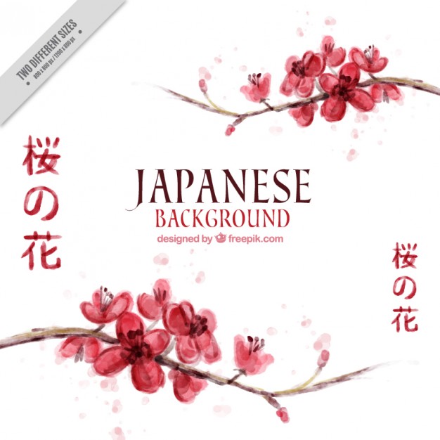626x626 Cute Watercolor Cherry Blossom Japanese Background Vector Free - Japanese Watercolor Cherry Blossoms
