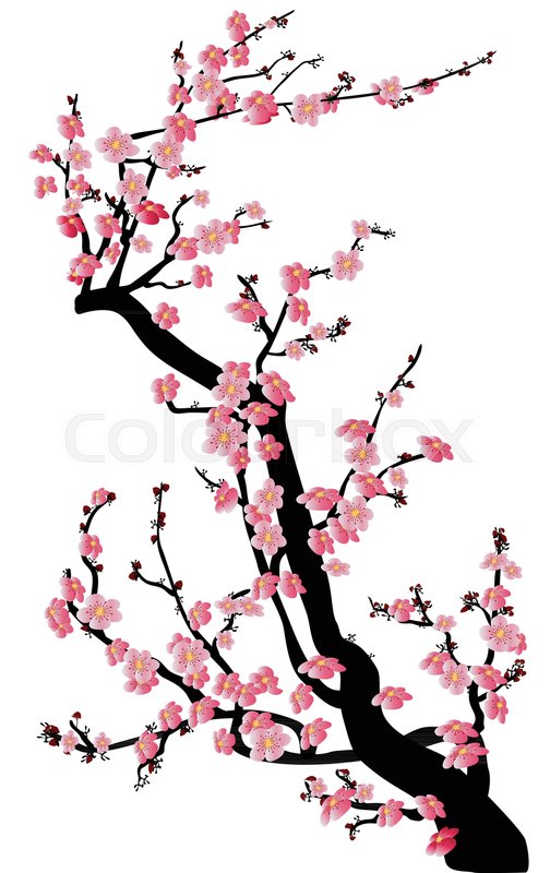 504x800 Watercolor Sakura Frame. Background With Blossom Cherry Tree - Japanese Watercolor Cherry Blossoms