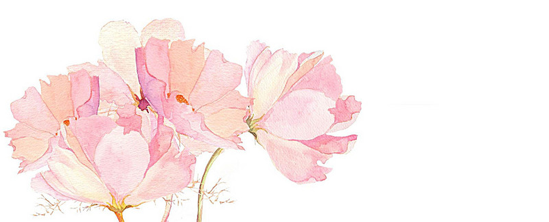 Japanese Watercolor Flowers At Paintingvalley Com Explore