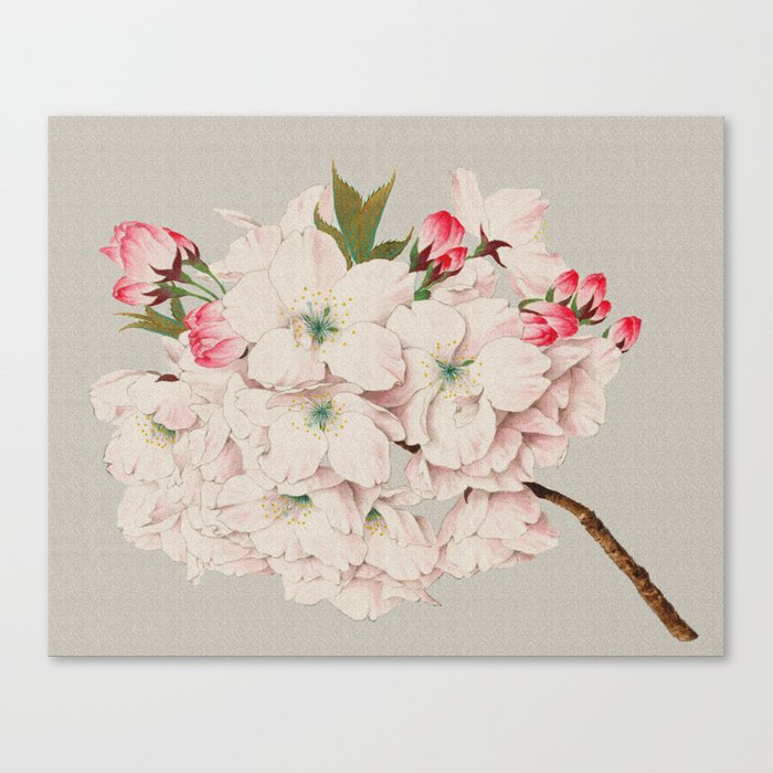 700x700 Vintage Japanese Watercolor - Japanese Watercolor Flowers