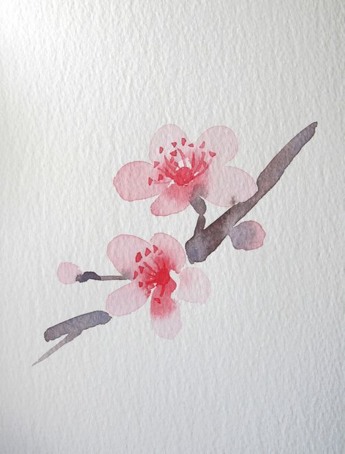 500x658 Watercolor Flowers - Japanese Watercolor Flowers