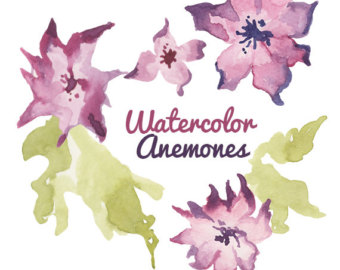 340x270 Watercolor Japanese Anemone Watercolor Flowers Digital Etsy - Japanese Watercolor Flowers