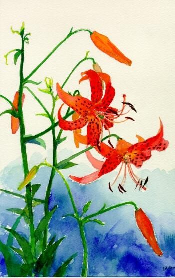 350x556 Japanese Watercolor Art Japanese Watercolor - Japanese Watercolor Flowers