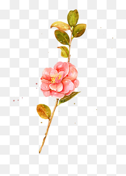 260x364 Hand Painted Watercolor Flower Png Png, Vectors, Psd, And Clipart - Japanese Watercolor Flowers