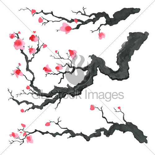 500x500 Sakura Tree In Japanese Style. Watercolor Hand Painting I... Gl - Japanese Watercolor Tree