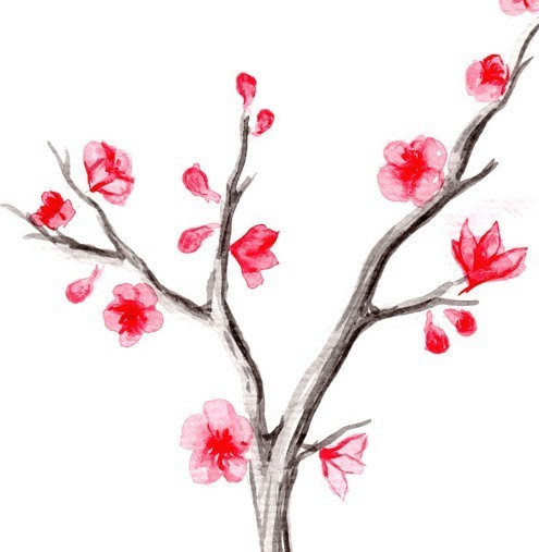 495x507 Drawn Sakura Blossom Japanese Plant Free Collection Download And - Japanese Watercolor Tree
