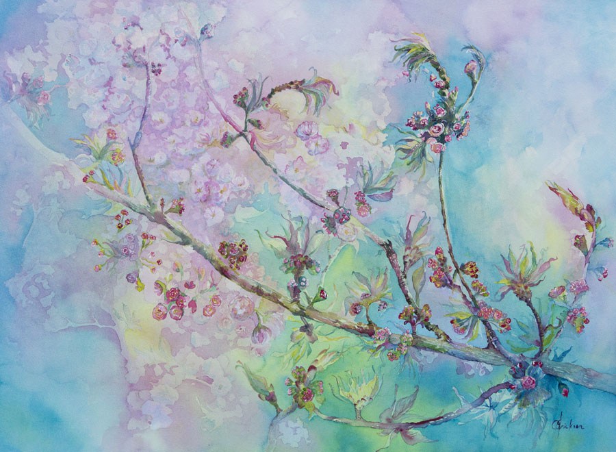 900x660 First Blossoms, Japanese Cherry Tree, Watercolour On Paper, Floral - Japanese Watercolor Tree