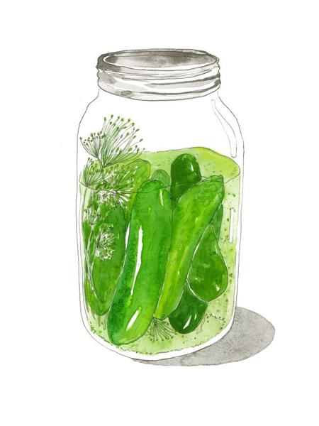 450x600 Pickles In Jar Watercolor Art Print Marcella Kriebel Art + - Jar Watercolor