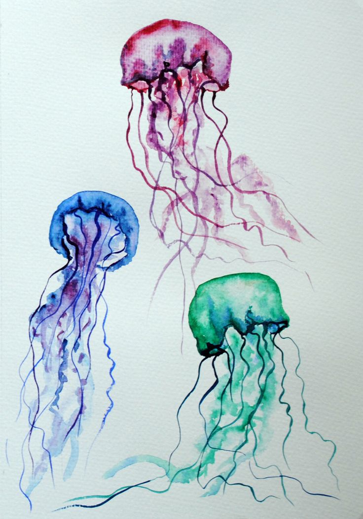 736x1052 Jellyfish Tattoo Watercolor - Jellyfish Tattoo Watercolor