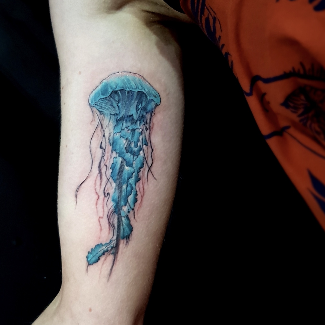 1348x1348 Watercolor, Color And Sketch Tattoo - Jellyfish Watercolor Tattoo