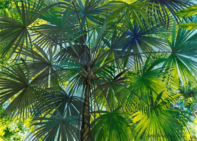 800x572 Jungle Palm Painting Print Kate York - Jungle Watercolor