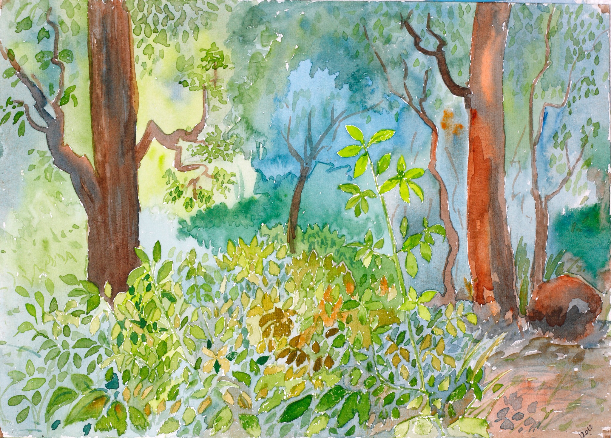 2048x1468 Trees In The Jungle Pravin Aswale Fine Art Photography - Jungle Watercolor