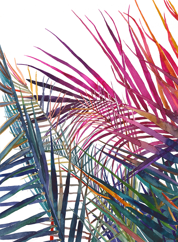 700x951 Watercolor Jungle On Behance - Jungle Watercolor