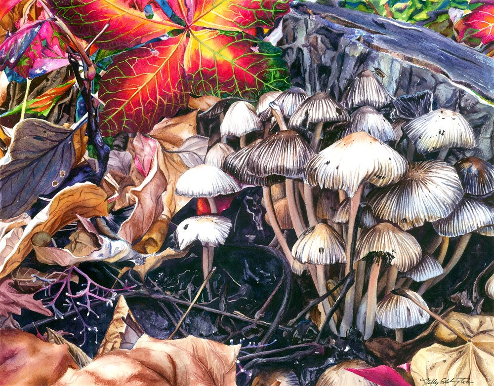 1000x782 Nature Kelly Eddington Watercolors - Kelly Eddington Watercolors