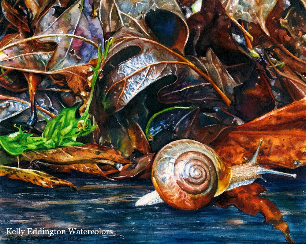 1000x796 Step By Step Kelly Eddington Watercolors - Kelly Eddington Watercolors