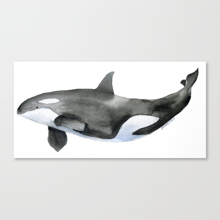 700x700 Orca Killer Whale Watercolor Canvas Print By Susanwindsor Society6 - Killer Whale Watercolor