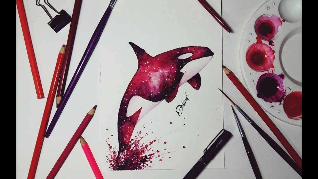 1280x720 Speed Drawing - Killer Whale Watercolor