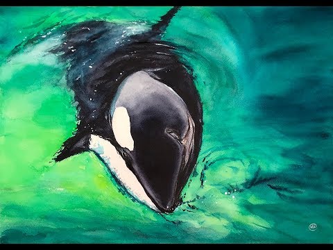 480x360 Watercolor Killer Whale Painting Tutorial - Killer Whale Watercolor