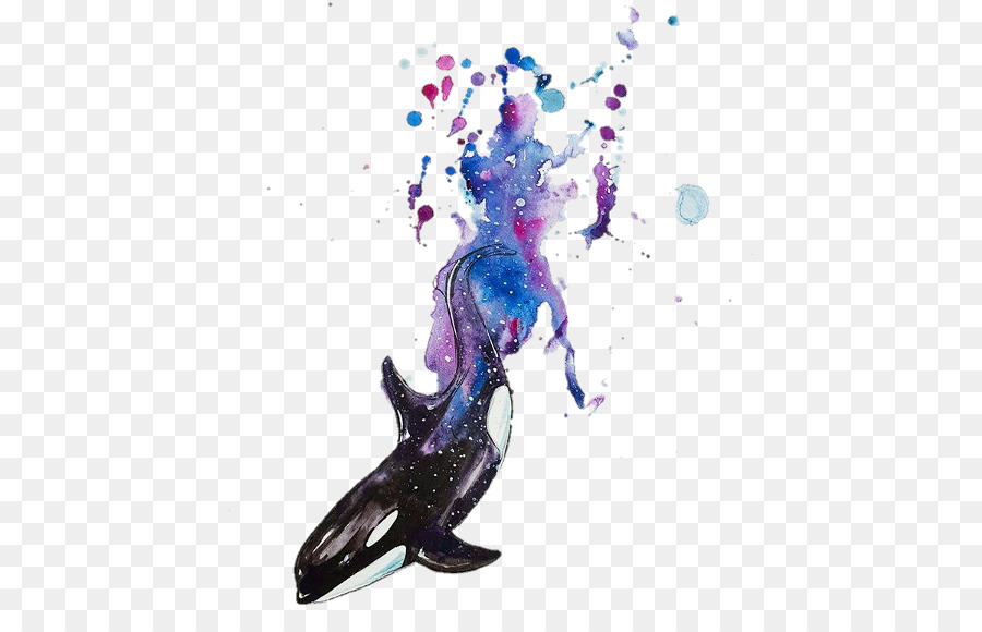 900x580 Watercolor Painting Killer Whale Art - Killer Whale Watercolor