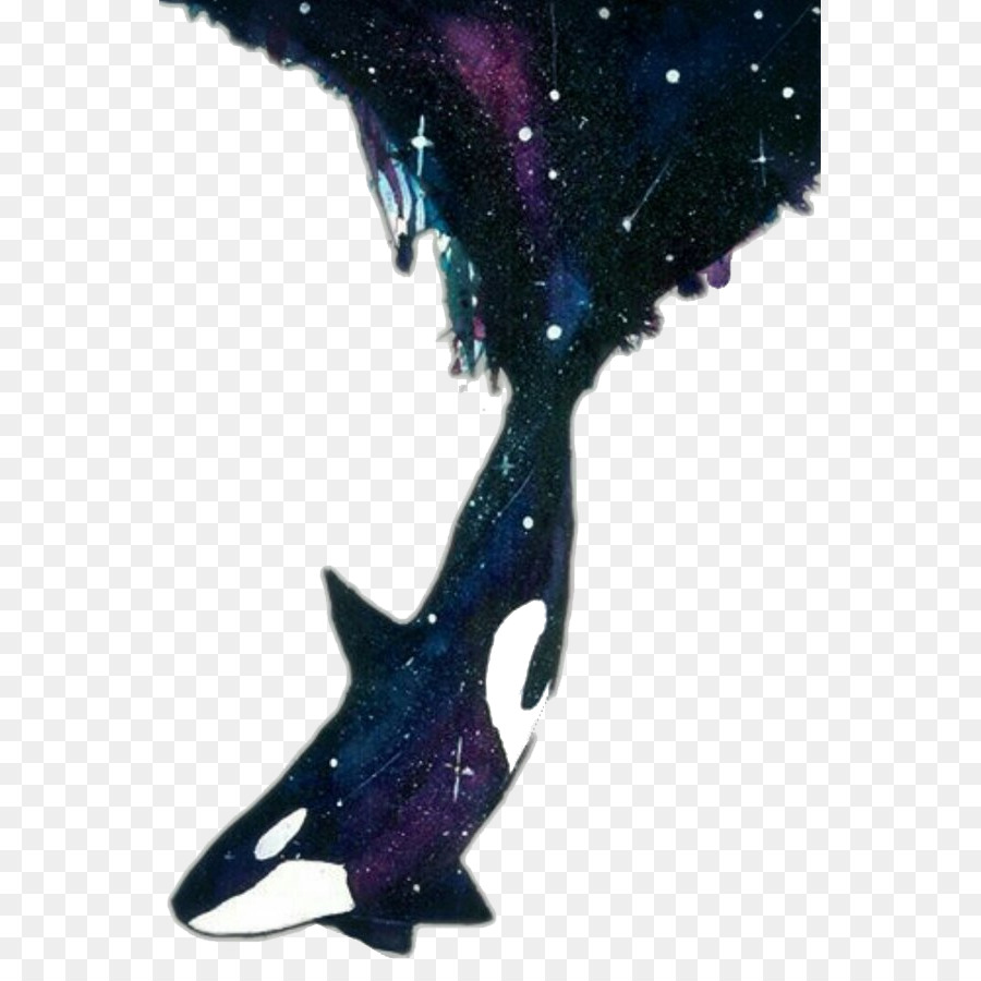 900x900 Watercolor Painting Killer Whale Drawing Art - Killer Whale Watercolor