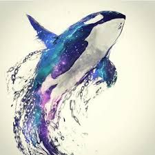 225x225 Kartinki Po Zaprosu Watercolor Orca Whale Orca In 2018 - Killer Whale Watercolor
