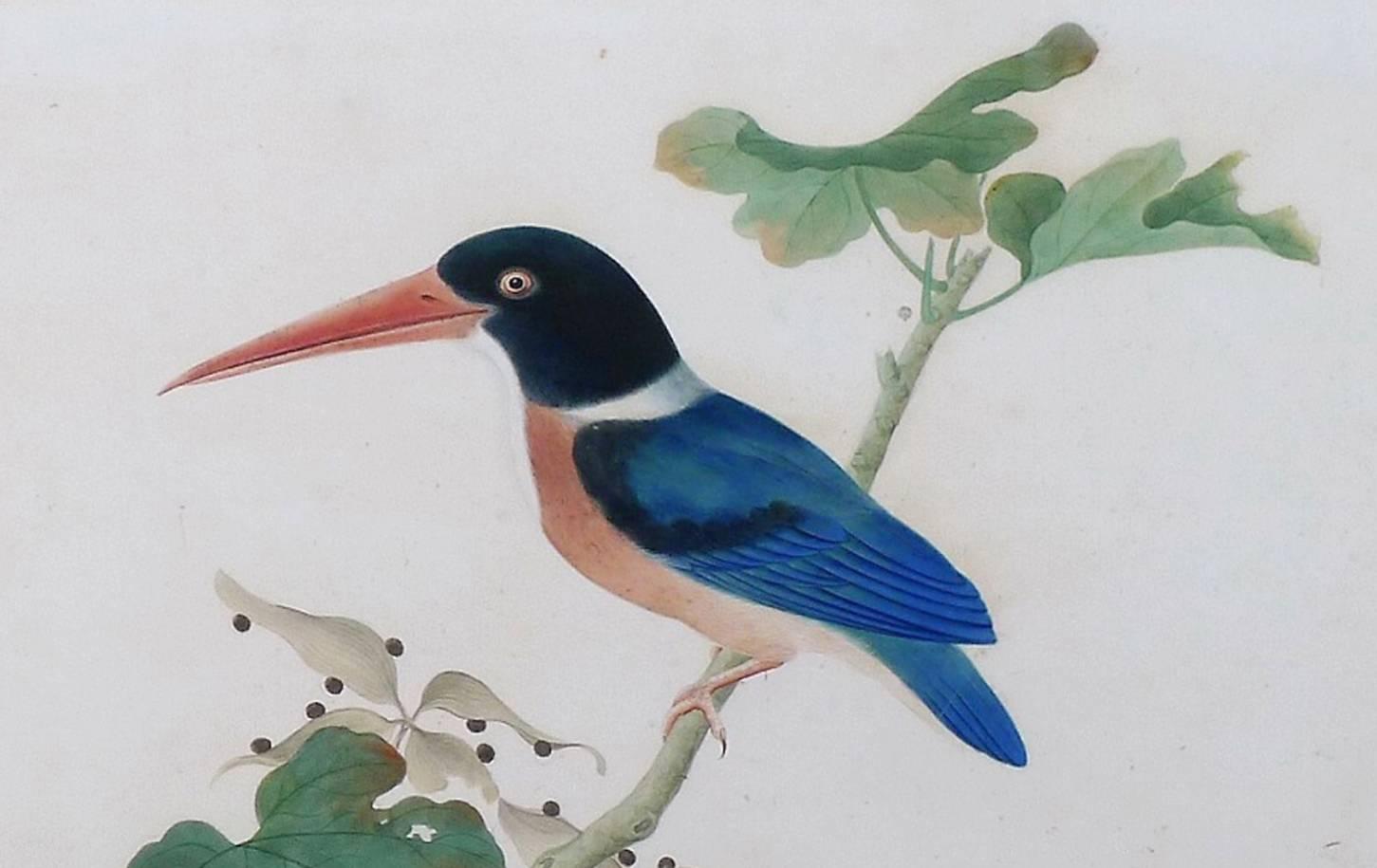 1451x915 China Trade Large Watercolor Painting Of A Bird, Kingfisher, Circa - Kingfisher Watercolor