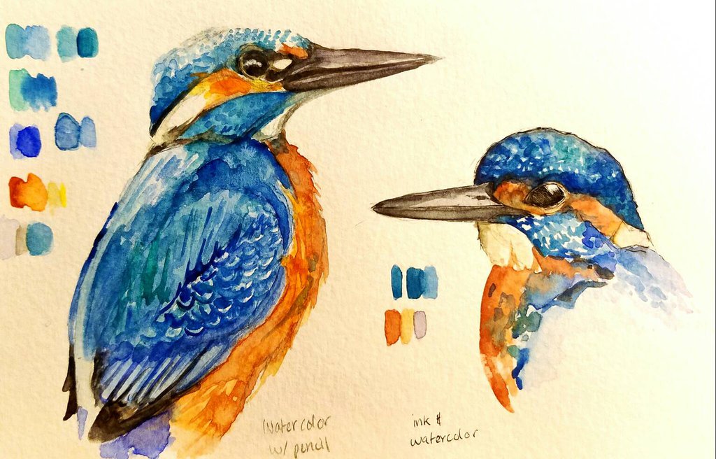 1024x656 Common Kingfisher Watercolor Sketches By Lena Ru5 - Kingfisher Watercolor